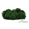 Finský sobí mech 1 kg | Tmavě zelená