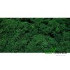 Finský sobí mech 1 kg | Tmavě zelená