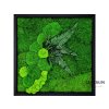 Mechový obraz Garden 56 x 56 cm | černý tenký rám
