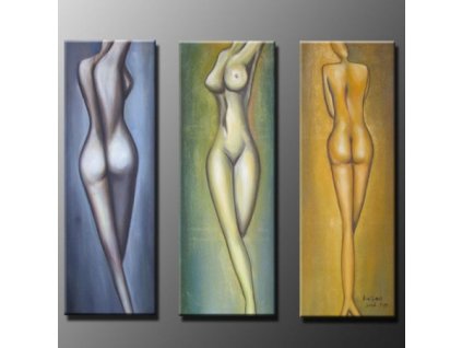 SET 3 1039 vicedilne obrazy tri akty
