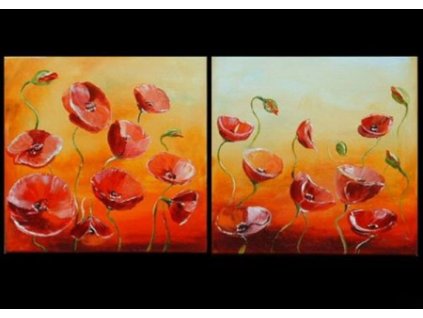 SET2 120 vicedilne obrazy rozkvetle kvety