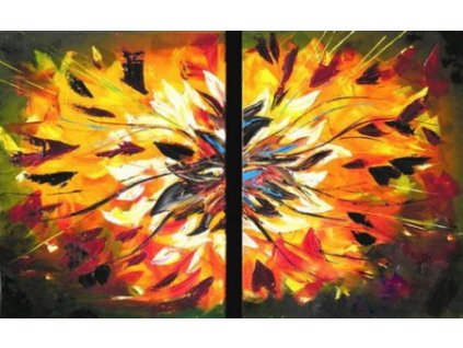 SET2 234 vicedilne obrazy barevna zare