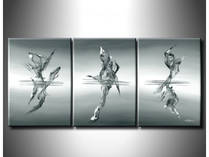 SET3 0681 vicedilne obrazy v pohybu