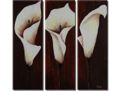 SET 03038 obrazovy set uhel pohledu i.