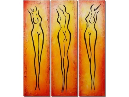 SET03453 obrazovy set linie