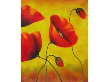 Obraz - Vlčí máky III. (Rozměr 50 cm x 40 cm)