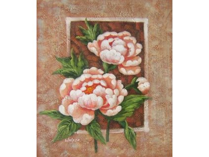 Obraz - Dvě pivoňky (Rozměr 50 cm x 40 cm)