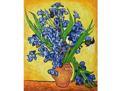 Obraz -  Kosatce (Rozměr 50 cm x 40 cm)