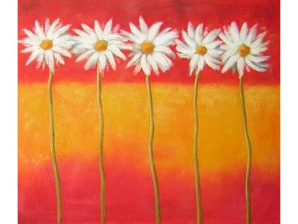 Obraz - Pět kopretin (Rozměr 40 cm x 50 cm)