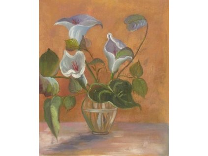 Obraz - Jemnost (Rozměr 50 cm x 40 cm)