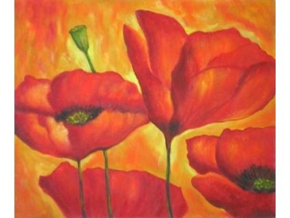 Obraz - Rudé máky (Rozměr 40 cm x 50 cm)