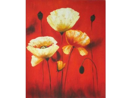 Obraz - Máky (Rozměr 50 cm x 40 cm)