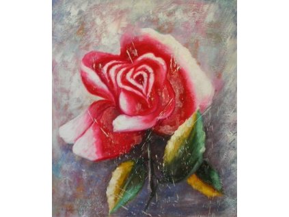 Obraz - Červená růže (Rozměr 50 cm x 40 cm)
