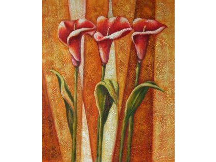 Obraz - Tři červené kaly (Rozměr 50 cm x 40 cm)