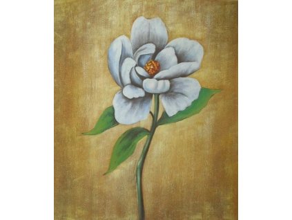 Obraz - Chryzantéma (Rozměr 50 cm x 40 cm)