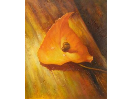 Obraz - List - spojení (Rozměr 50 cm x 40 cm)