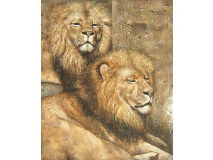 Obraz - Lvi (Rozměr 60 cm x 50 cm)