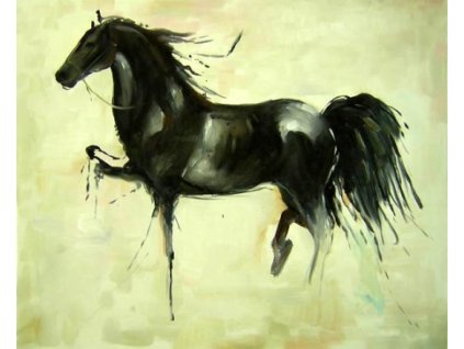 Obraz - Černý kůň (Rozměr 40 cm x 50 cm)