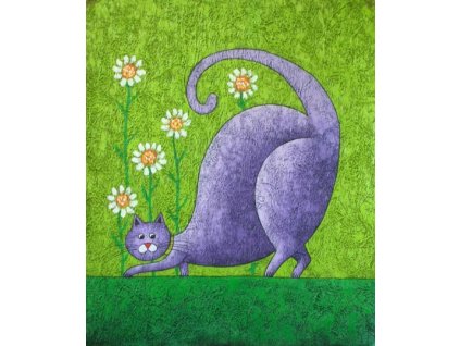 Obraz - Kočka (Rozměr 50 cm x 40 cm)