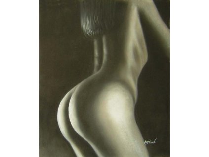 Obraz - Akt (Rozměr 60 cm x 50 cm)