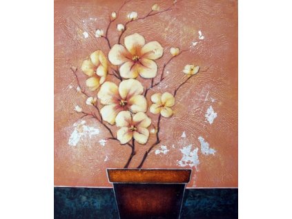Obraz - Nové květy (Rozměr 60 cm x 50 cm)