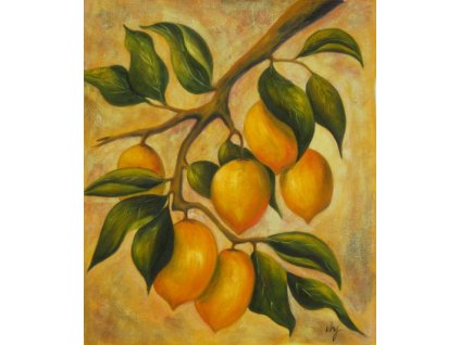Obraz - Citróny (Rozměr 50 cm x 40 cm)