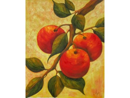 Obraz - Pomeranče (Rozměr 50 cm x 40 cm)