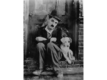 Charlie Chaplin (Rozměr 40 cm x 30 cm)