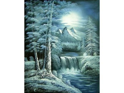 Obraz - Krása zimy (Rozměr 60 cm x 50 cm)