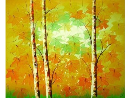 Obraz - Břízky žluté (Rozměr 40 cm x 50 cm)