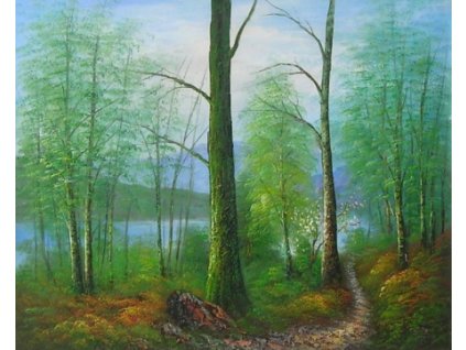 Obraz - Les (Rozměr 50 cm x 60 cm)