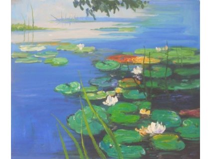 Obraz - Jezero s lekníny (Rozměr 40 cm x 50 cm)