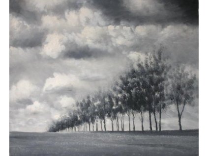 Obraz - Stromořadí (Rozměr 40 cm x 50 cm)