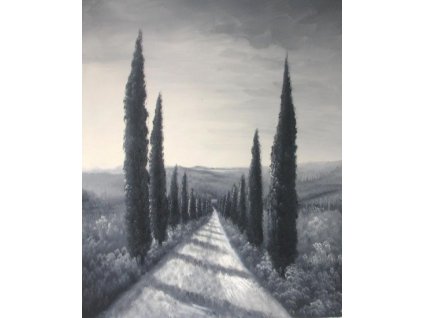 Obraz - Venkovská cesta (Rozměr 50 cm x 40 cm)