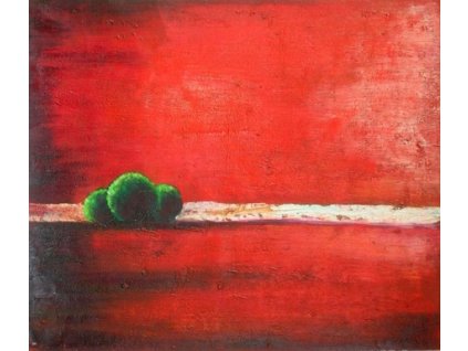 Obraz - Tři keře (Rozměr 40 cm x 50 cm)