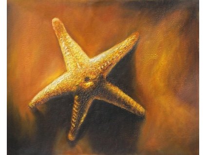 Obraz - Hvězdice (Rozměr 40 cm x 50 cm)