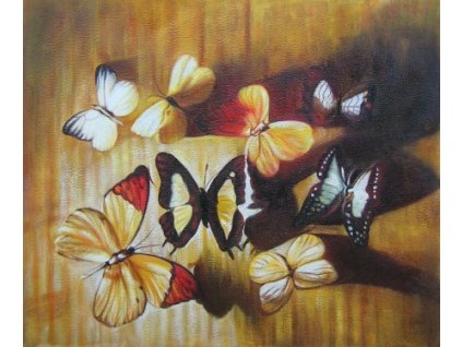 Obraz - Motýlci (Rozměr 40 cm x 50 cm)