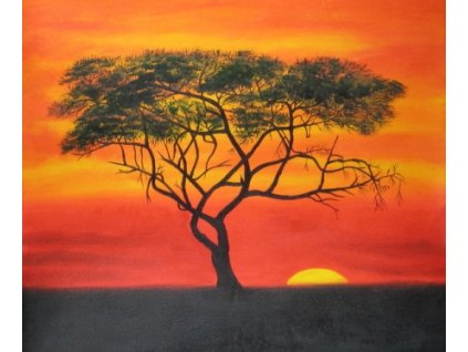 Obraz - Strom v západu slunce (Rozměr 40 cm x 50 cm)