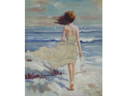 Obraz - Vítr pobřeží (Rozměr 60 cm x 50 cm)