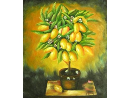 Obraz - Citrónovník (Rozměr 50 cm x 40 cm)