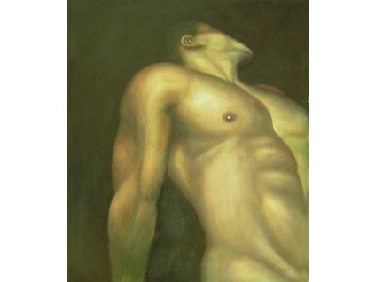 Obraz - Muž (Rozměr 60 cm x 50 cm)