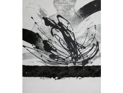 Obraz - Tanec kouzel (Rozměr 50 cm x 40 cm)