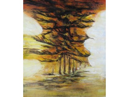 Obraz - Abstraktní bouře (Rozměr 50 cm x 40 cm)