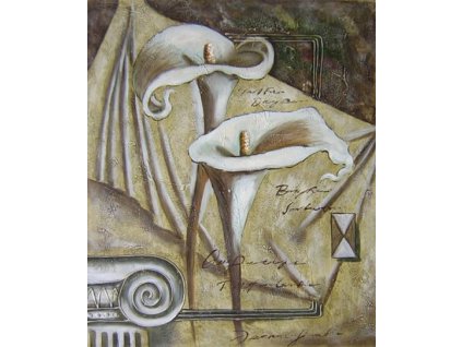 Obraz - Dvě kaly (Rozměr 50 cm x 40 cm)