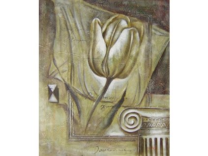 Obraz - Tulipán (Rozměr 50 cm x 40 cm)