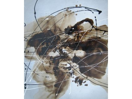 Obrazy - Pavučina (Rozměr 50 cm x 40 cm)