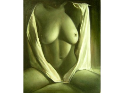 Obraz - Nahé tělo (Rozměr 60 cm x 50 cm)