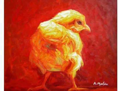 Obraz - Kuře (Rozměr 40 cm x 50 cm)