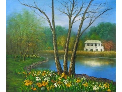 Obraz - Dům u řeky (Rozměr 50 cm x 60 cm)