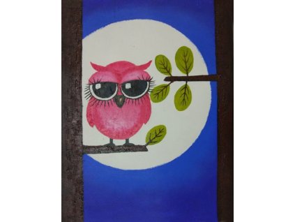 Obraz - Sova v úplňku (Rozměr 50 cm x 40 cm)